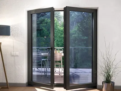 Hinged Door 3